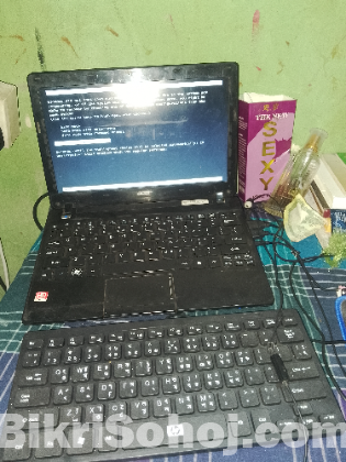 Acer